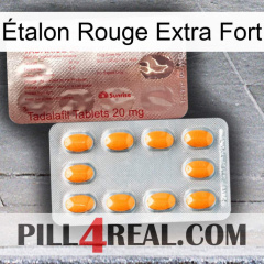 Étalon Rouge Extra Fort new13